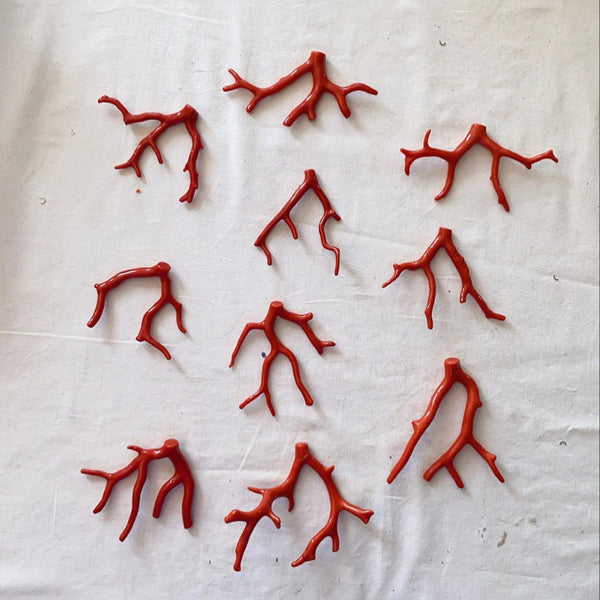 Coral