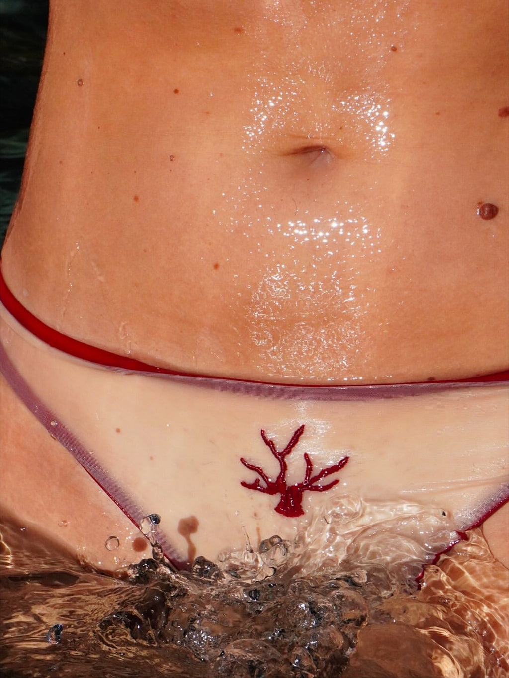 Culotte Milena - Corail