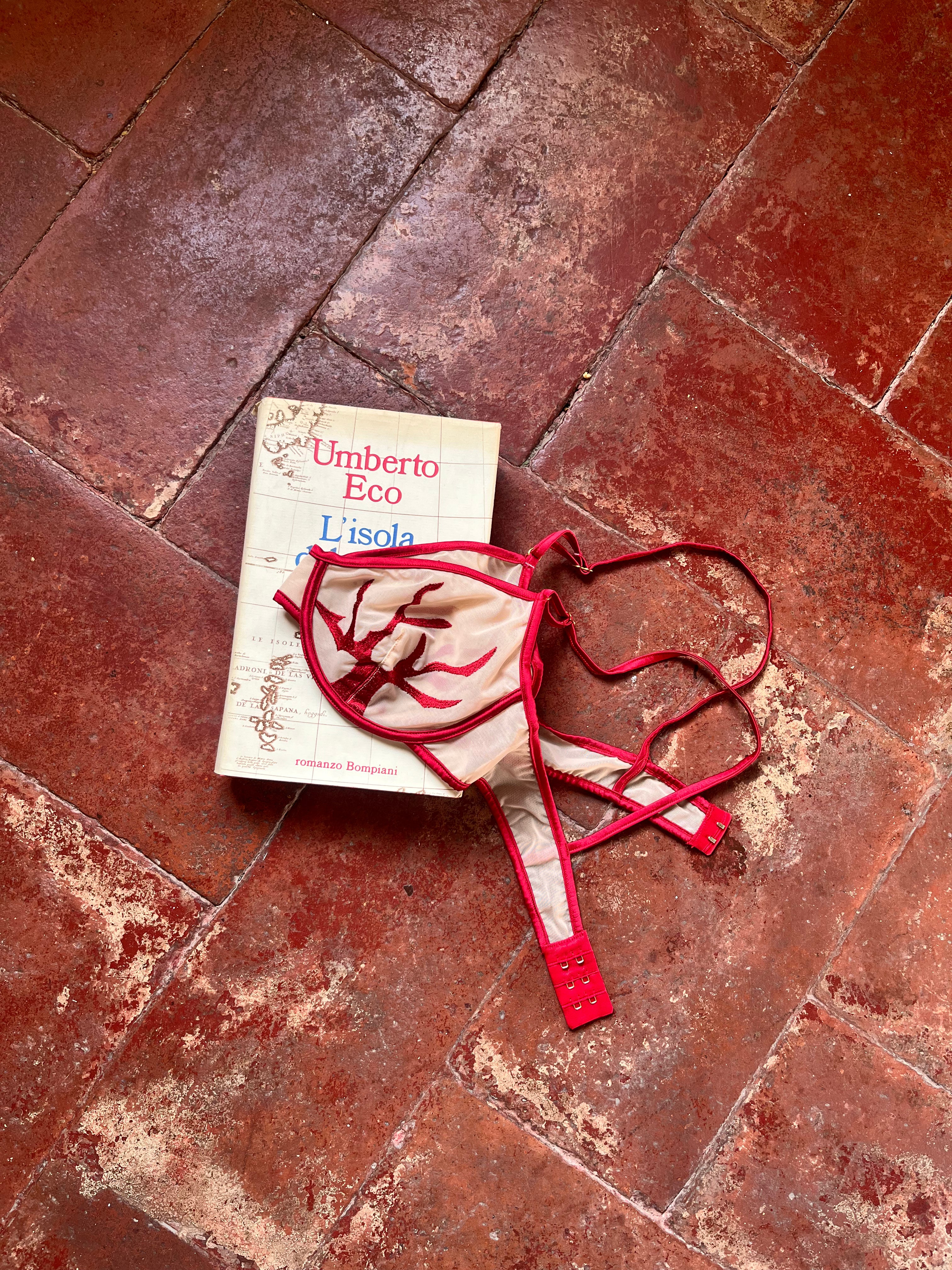 Milena Silk and Mesh Bra - Corallo